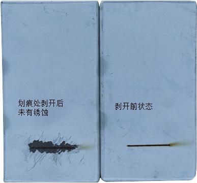 富锌涂层体系腐蚀蔓延状态
