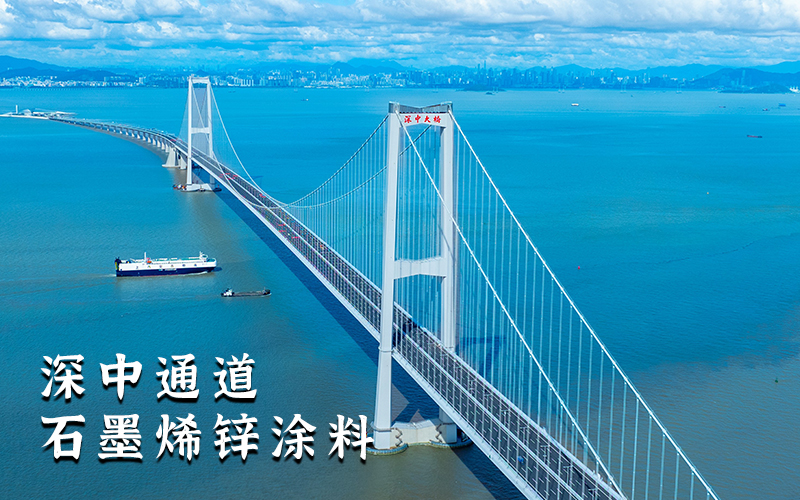 跨海大桥防腐业绩