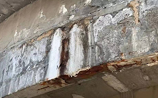 桥梁混凝土腐蚀